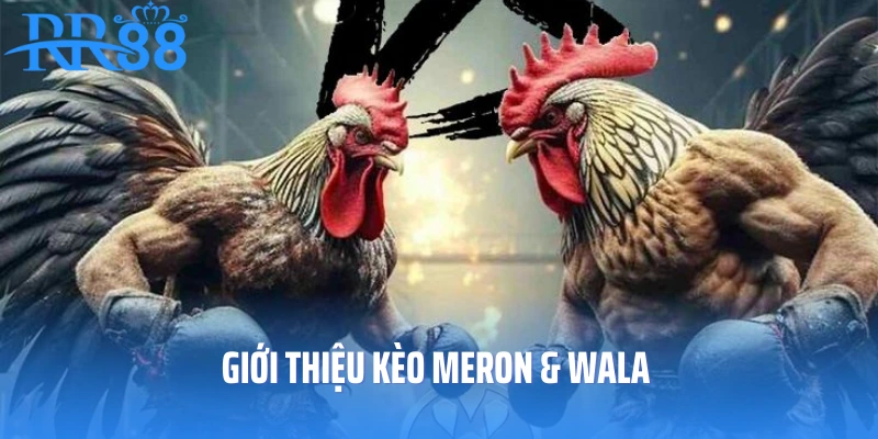 Giới thiệu kèo Meron và Wala