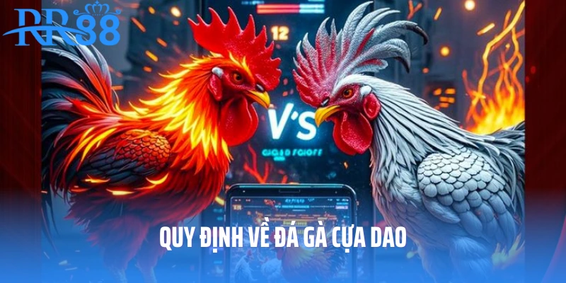 Quy định về đá gà tại rr88